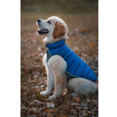 Red Dingo Puffer Jacket – Modrá / Tyrkysová velikost bundy 60 cm