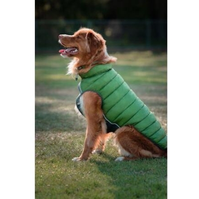 Red Dingo Puffer Jacket – Zelená / Limetková velikost bundy 60 cm