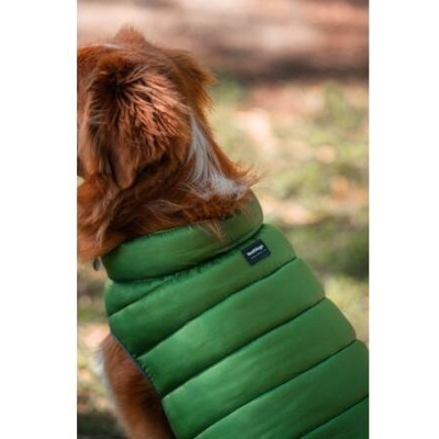 Red Dingo Puffer Jacket – Zelená / Limetková velikost bundy 60 cm