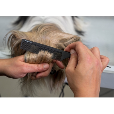 Show Tech Carbon needle comb Jehlový hřeben na psa detail při česání srsti Top Knot