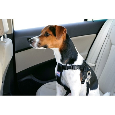 Zolux Postroj pes Bezpečnostní do auta
